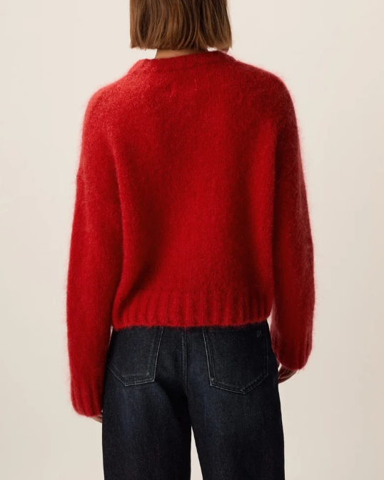 PULL BLOOM ROUGE ~ DES PETITS HAUTS