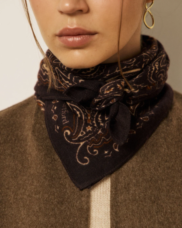 ECHARPE PAISLEY CHOCO ~ HARTFORD