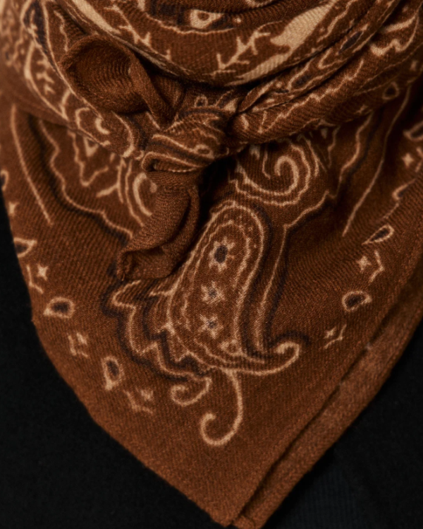 ECHARPE PAISLEY PEANUT ~ HARTFORD