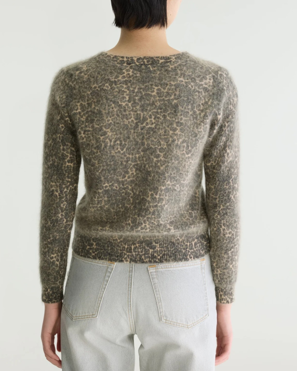 PULL DATTI DISPLAY A ~ BELLEROSE