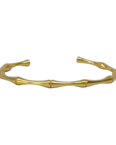 Capture d'écran 2026-02-13 155516